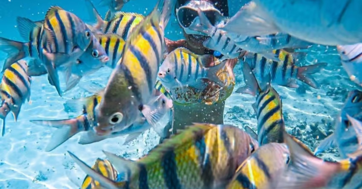 los arcos snorkeling
